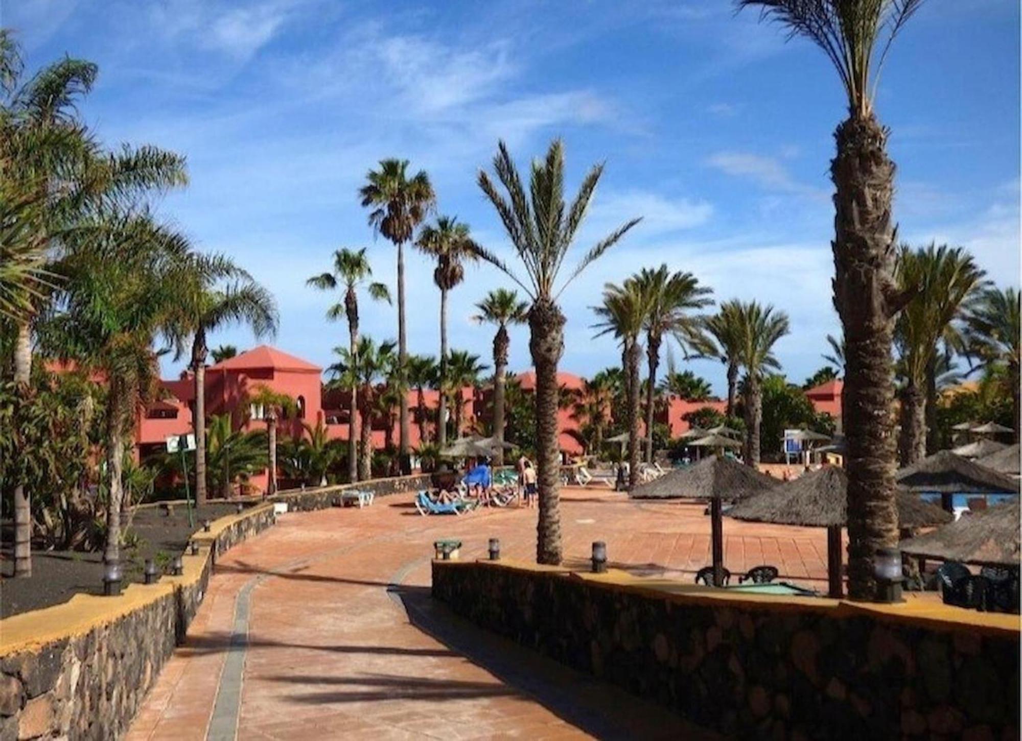 Apartment B-rent Perla De Mar Corralejo